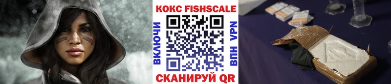 купить наркоту  Моршанск  Cocaine Fish Scale 