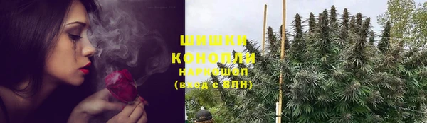 прущие крисы Армянск