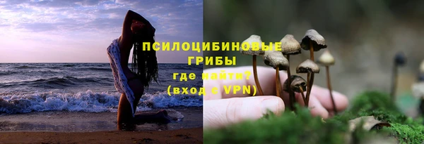 прущие крисы Армянск