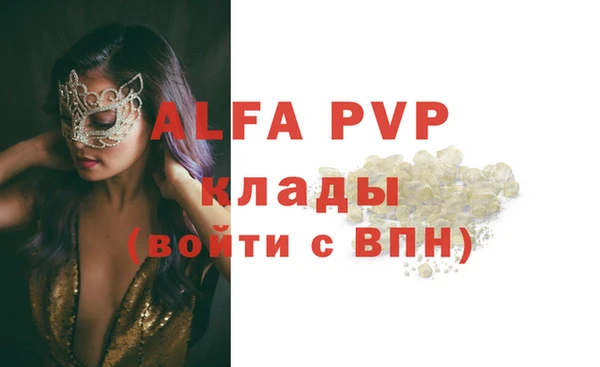 твердый Арсеньев