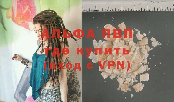 твердый Арсеньев