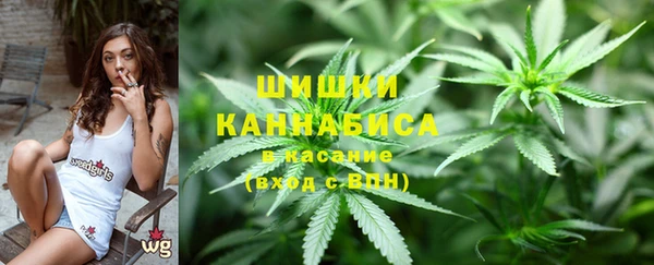 твердый Арсеньев