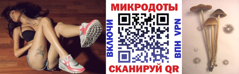 mega зеркало  Моршанск  Псилоцибиновые грибы мицелий 